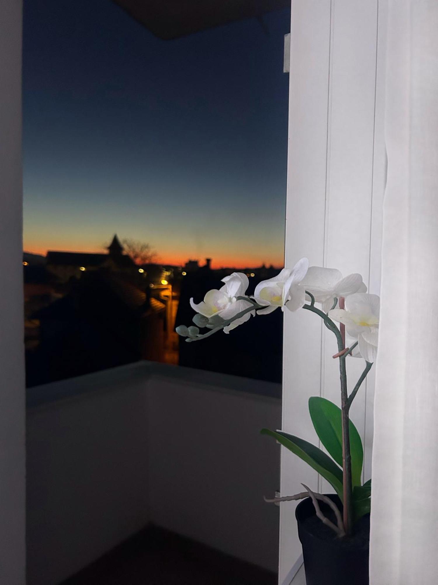 Apartment Davcom *